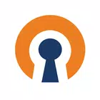 OpenVPN Connect
