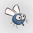 Fly Sounds