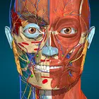 Anatomy Learning