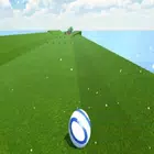 Race the Ball