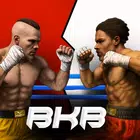 Brutal Knuckle Boxing