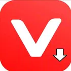 Video Downloader All