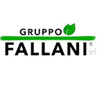 Gruppo Fallani