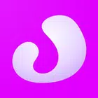 Vibrator