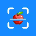 AI Object Detection