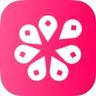 DGtalguide™