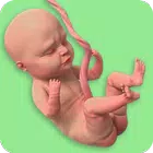 Mom Pregnancy Games: Mom Care