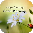 Good Morning Thursday