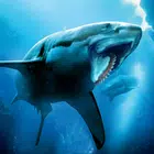 Helicoprion: Shark Dino Sim
