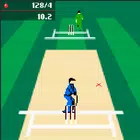 Cricket Cup Classic 90s Game