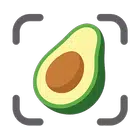 CalSnap