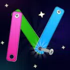 Screw And Nut Puzzle game