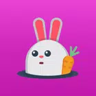 BunnyLive