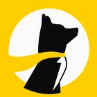 Underdog Sports
