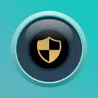 iCSee Pro