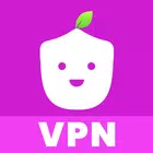 Berry VPN