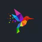 Colibri X
